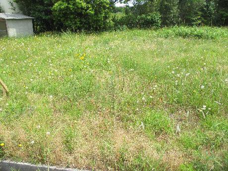 空き地情報H28-11