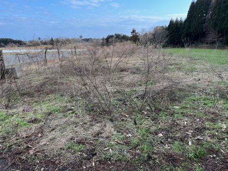 空き地情報R4-28