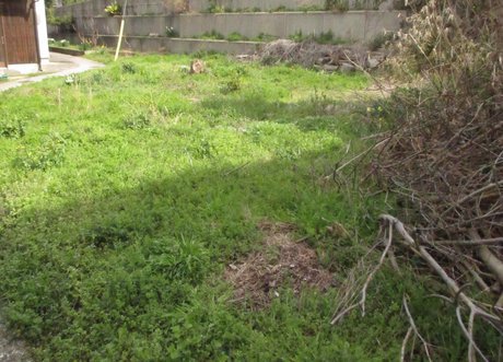 空き地情報R5-24