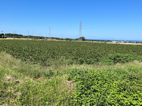 空き地情報R4-20