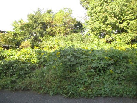 空き地情報R5-13