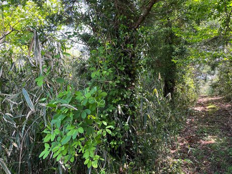 空き地情報R4-12