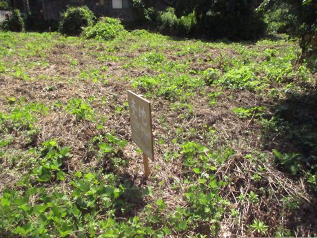 空き地情報R5-11