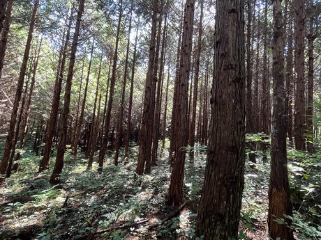 空き地情報R4-17