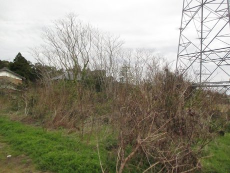 空き地情報R5-25