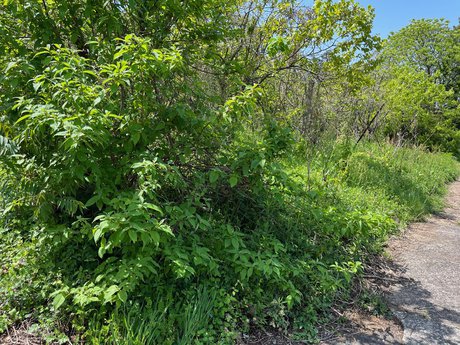 空き地情報R4-8.10