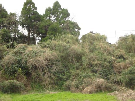 空き地情報R5-16