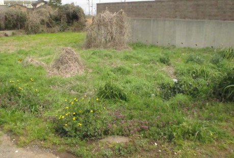 空き地情報R5-26